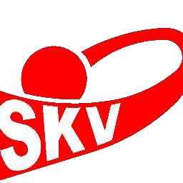 SKV 1